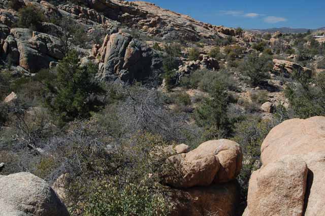 Watson Dam Trail